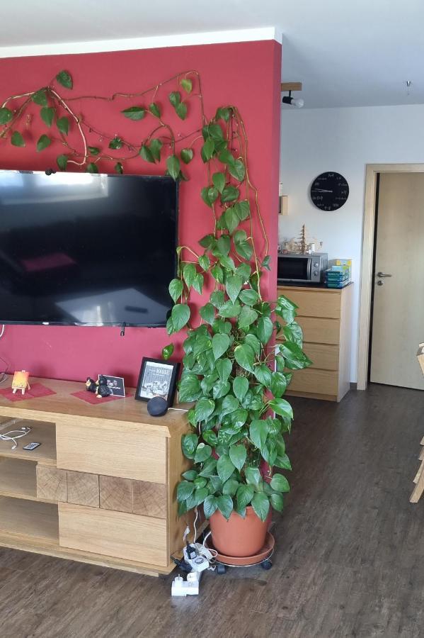 Ferienwohnung Bergidyll ชวาร์เซนเบิร์ก ภายนอก รูปภาพ